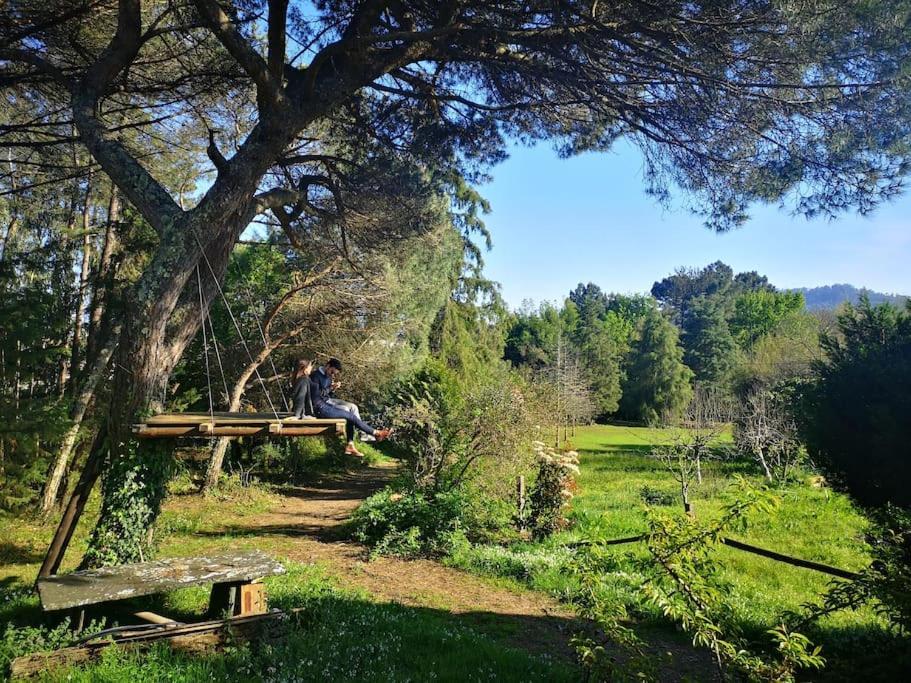 Pine Lodge - Direct Train To Porto Валонго Екстериор снимка